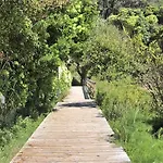 Playa De Sardineiro 菲尼斯特雷